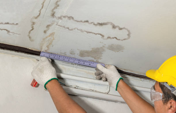Reliable Water Damage Repair contractor in Elko, SC by Aqua Guard Water Damage